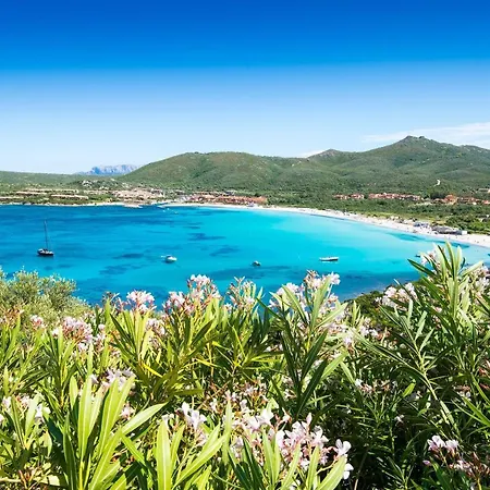 Giotto In Sardegna With Shared Pool - Happy Appartement Marinella (Sardinia)