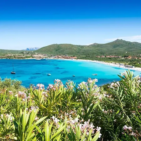 Giotto In Sardegna With Shared Pool - Happy Apartment Marinella (Sardinia)